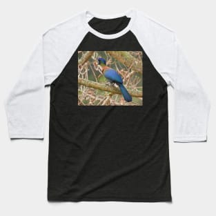 Purple-crested Turaco Baseball T-Shirt
